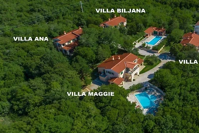 Villa in Koromačno mit Barbecue und Wifi