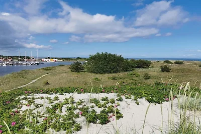 8 persoons vakantie huis in Hals-By Traum