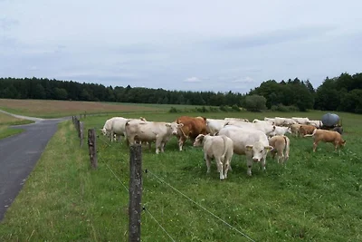 Kuća za odmor Dopust za oporavak Flörsbachtal