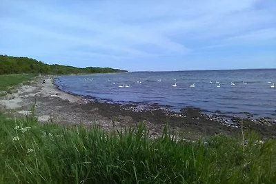 6 Personen Ferienhaus in Karrebæksminde-By...