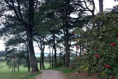 8 Personen Ferienhaus in Skals