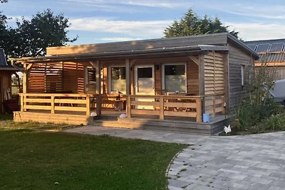 Hühnergott beim Boddenstrand