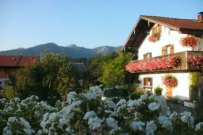Enzian im Ferienhaus Wendelstein
