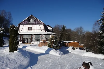Ferienhaus mit 1 Schlafzimmer