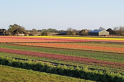 Landleben Komfortable Ferienresidenz