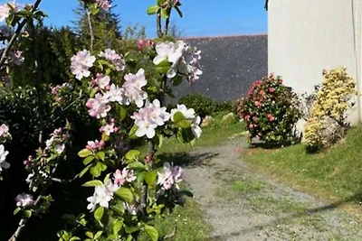 Ferienhaus in Perros Guirec