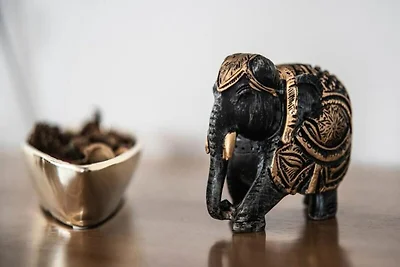 Villa in Saint-François mit Pool