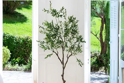 Wohnung in Cannes mit privatem Garten