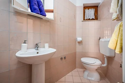 Seaside apartment with jacuzzi in Drenje