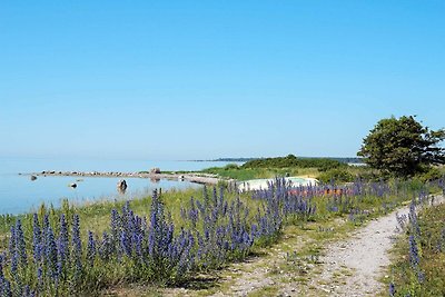 4 Sterne Ferienhaus in VISBY