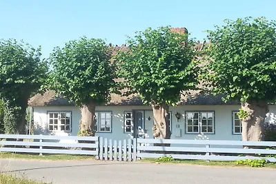 Ferienhaus mit 1 Schlafzimmer