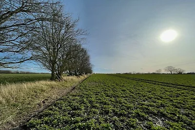 Ferienhaus Baumhaus Weissenhäuser Strand