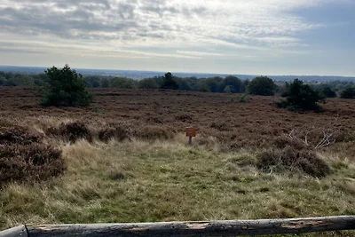 Wellness Lodge met Hottub Haarle