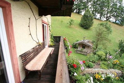 Appartement in Hopfgarten / Tirol vlakbij...