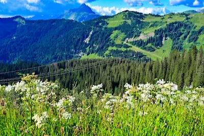 Wohnung in Avoriaz direkt an der Piste