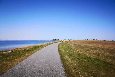 4 Personen Ferienhaus in Ærøskøbing-By Traum