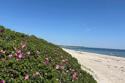 8 Personen Ferienhaus in Sydals-By Traum