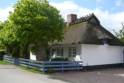 Ferienhaus mit 1 Schlafzimmer