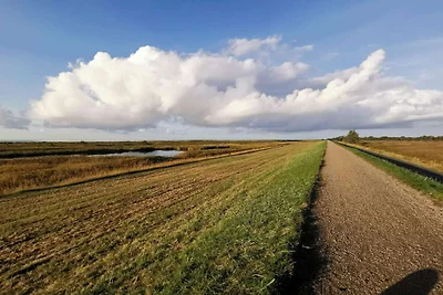 4 stelle case ad Dannemare