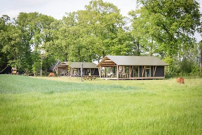 Suggestiva lodge tent con lavastoviglie nel...