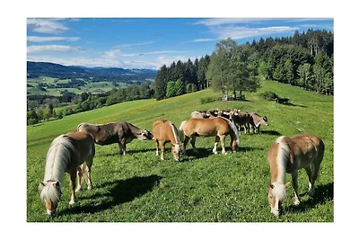 Ferienhaus in Weitnau mit Schwimmbecken