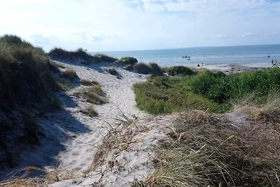 6 persoons vakantie huis in Læsø