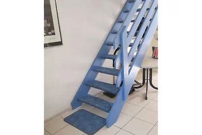 La petite maison bleu