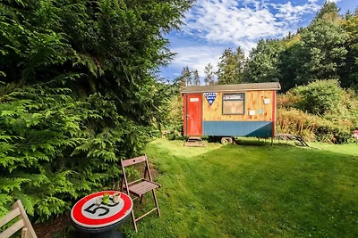 Vakanzenhaus zu Houffalize Mat Terrass
