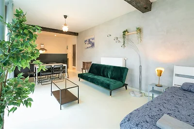 Antwerpener Zentrum 1-Zimmer-Wohnung (7...