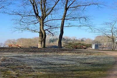 Omgeving (zomer) (1-5 km) Omgeving (zomer) (1-5 km)