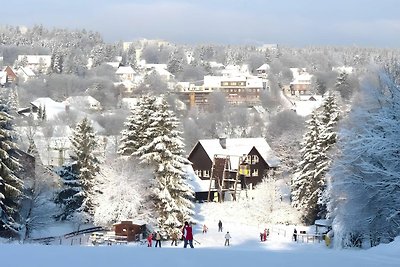 Tranquillo appartamento a Goslar - Bockswiese