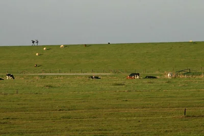 Ferienhus an'n Diek Komfortable...