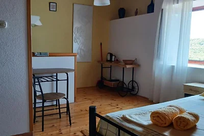 Studio Apartment with Terrace