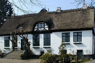 Blockhauswohnung "Odinn"