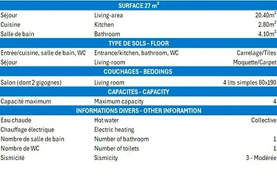 Charmantes Studio, hell, Ski-in/Ski-out