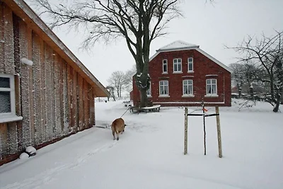 Holiday home with 2 bedrooms