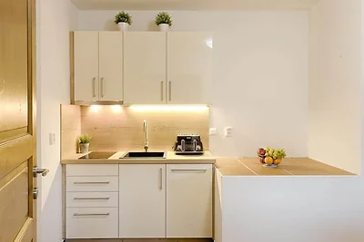 Geräumige Wohnung in Harrachov