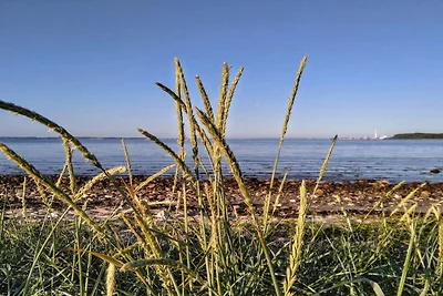 6 Personen Ferienhaus in Rønde-By Traum