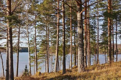 4 Personen Ferienhaus in ÅRJÄNG