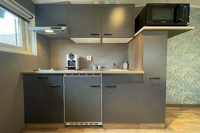 Rustige Wellnessvilla in Bellingwolde