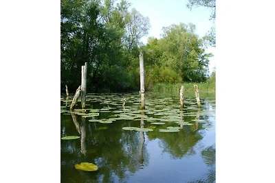 Im Naturpark Stettiner Haff