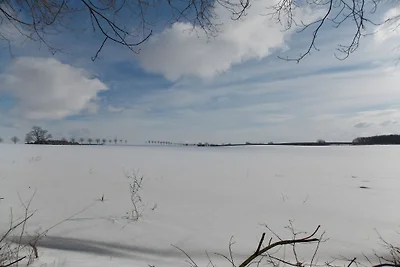 Schliep Komfortable Ferienresidenz