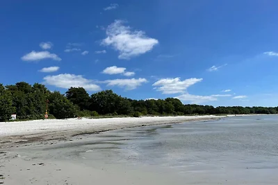 4 Sterne Ferienhaus in SÖLVESBORG