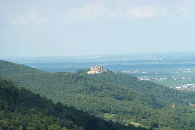 Weingut Herbert Ziegler "Eulbusch" 2
