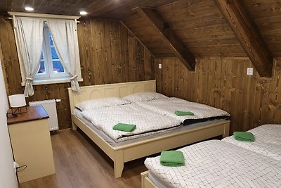 Prachtige villa nabij skigebied Horni Marsov