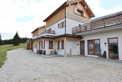 Boutique-Apartment im Lungau mit Terrasse