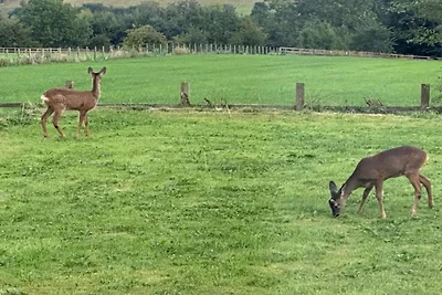 Kabine in Suffolk mit Barrierefreiheit