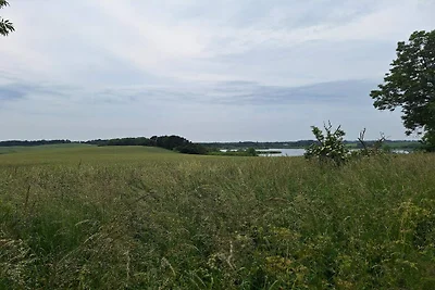 9 persone case ad Skibby