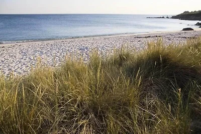 2 kamers 4/6 personen Uitzicht op het zwembad