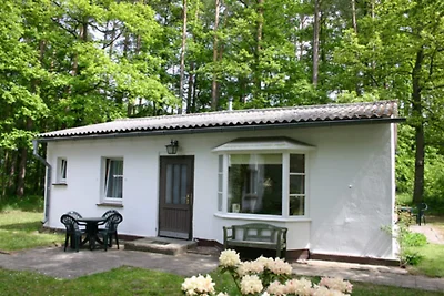 koliba Odmor za igrače golfa Koserow